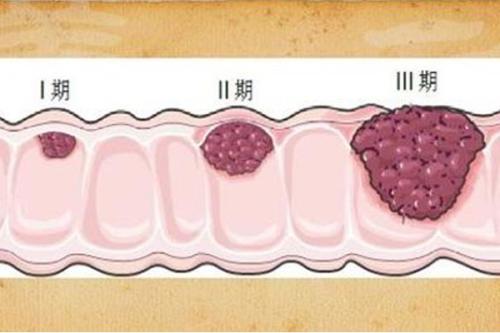 细胞